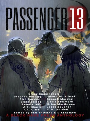 cover image of Passenger 13